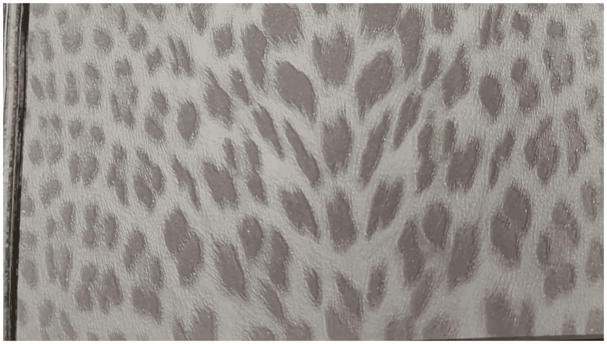 Обои Roberto Cavalli rc19043