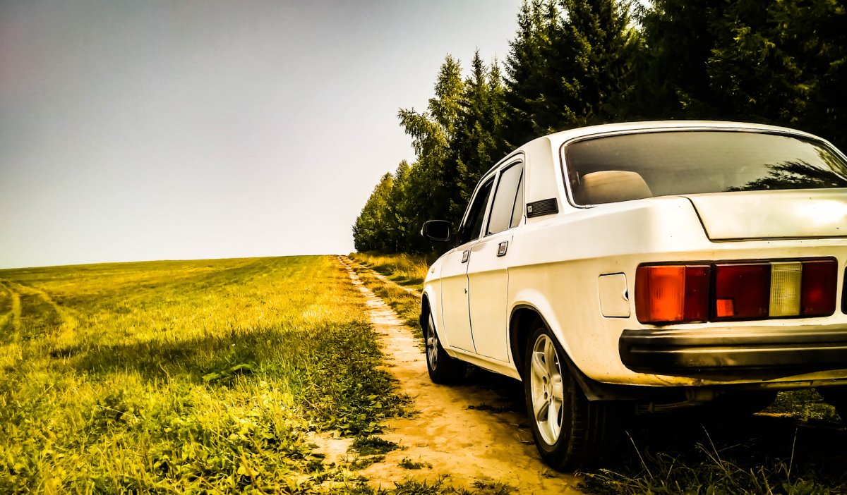 Gaz 31029 Реста