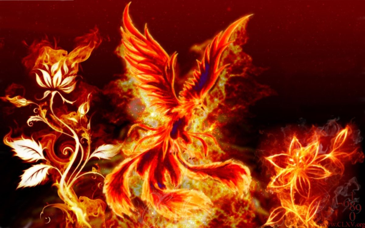 Огненный цветок Феникса
