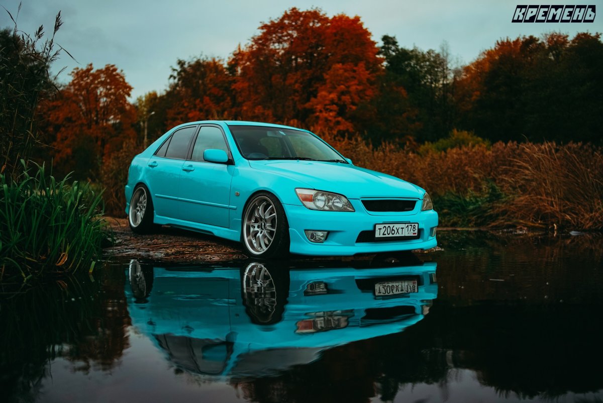 Альтеза двухцветная