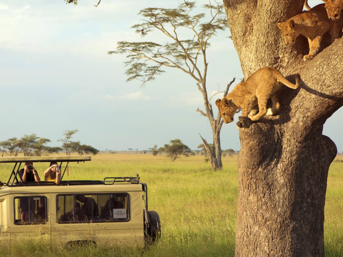 Endangered species фильм 2021