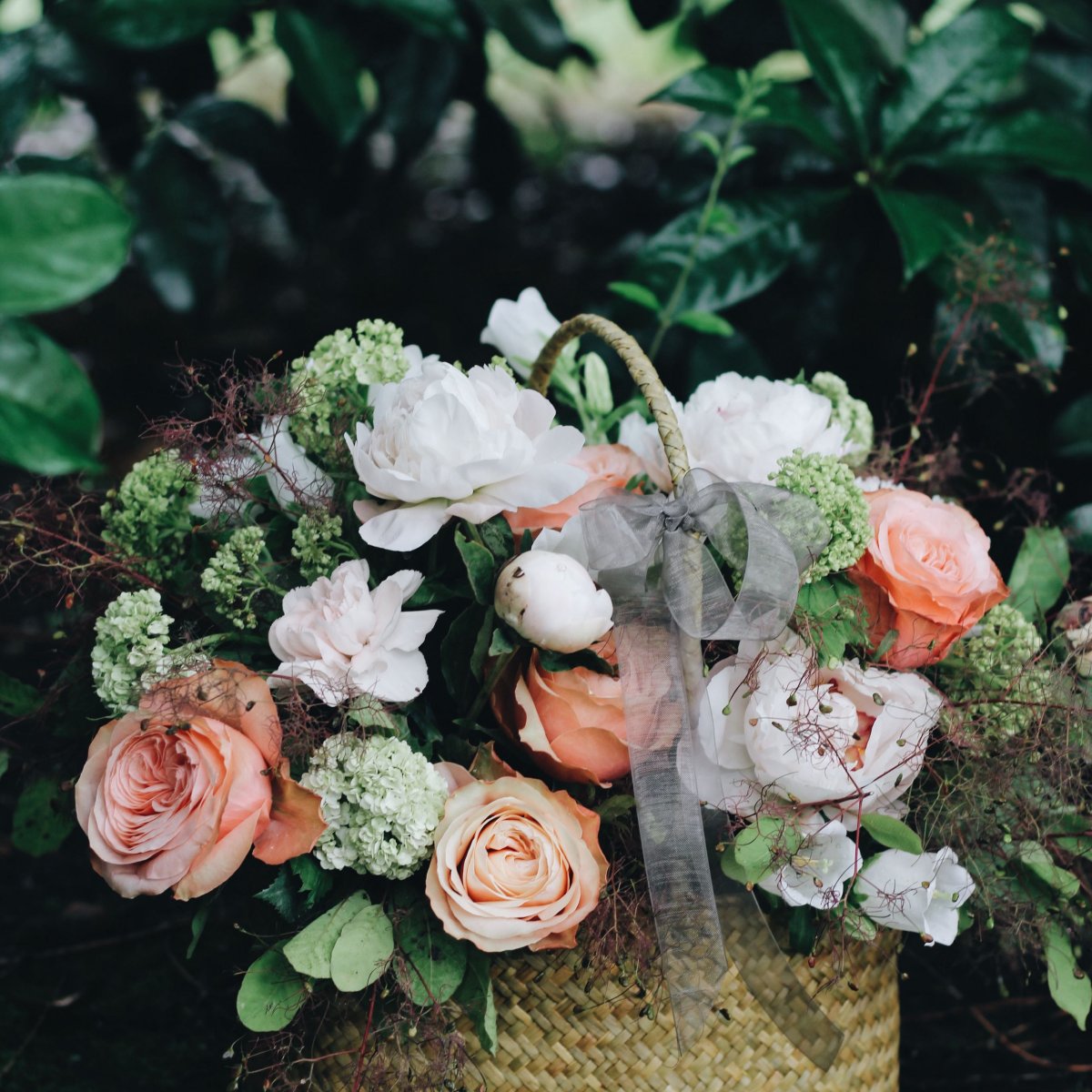 Ранункулюс Гермиона