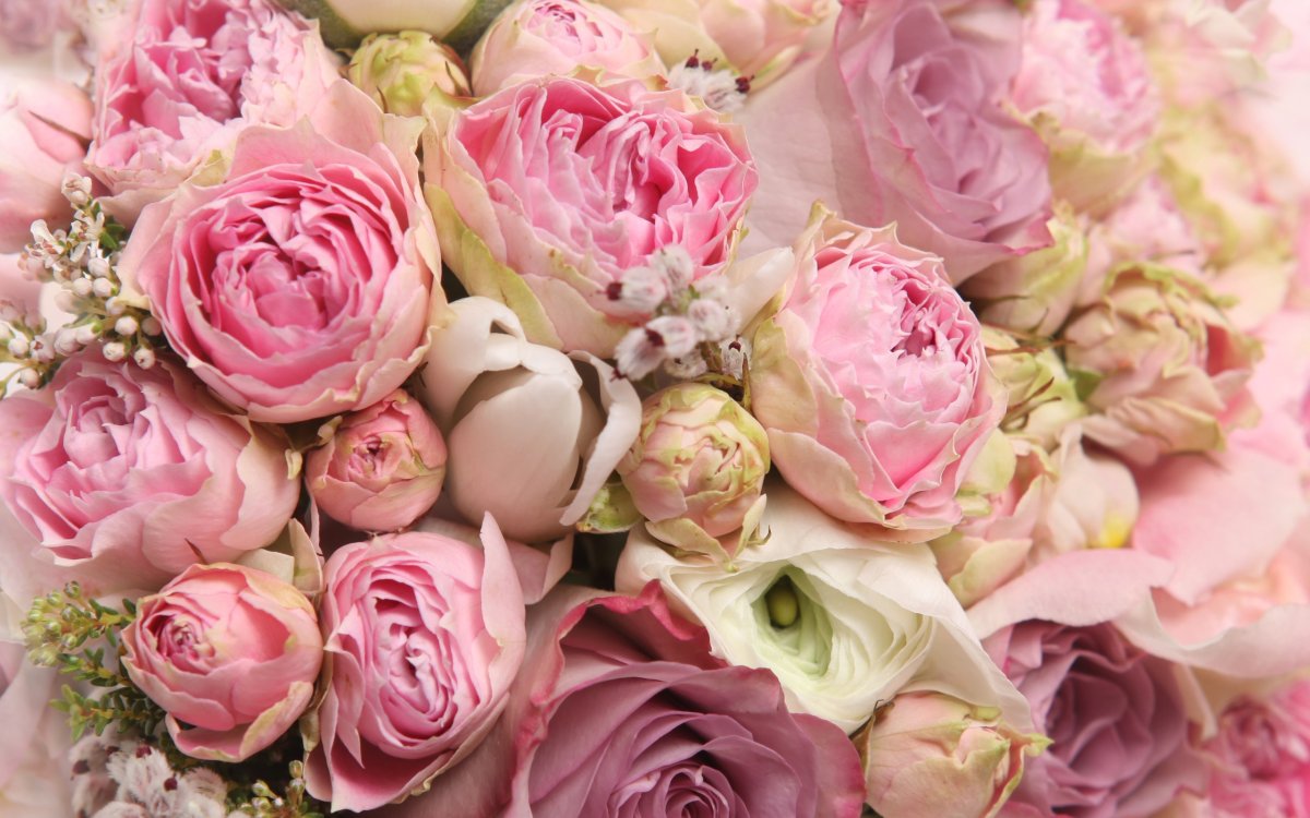 Ранункулюсы и пионы