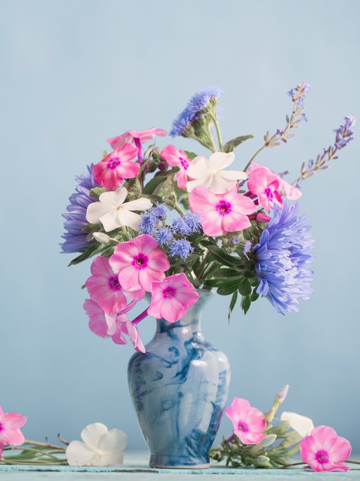 Розы вертикальные