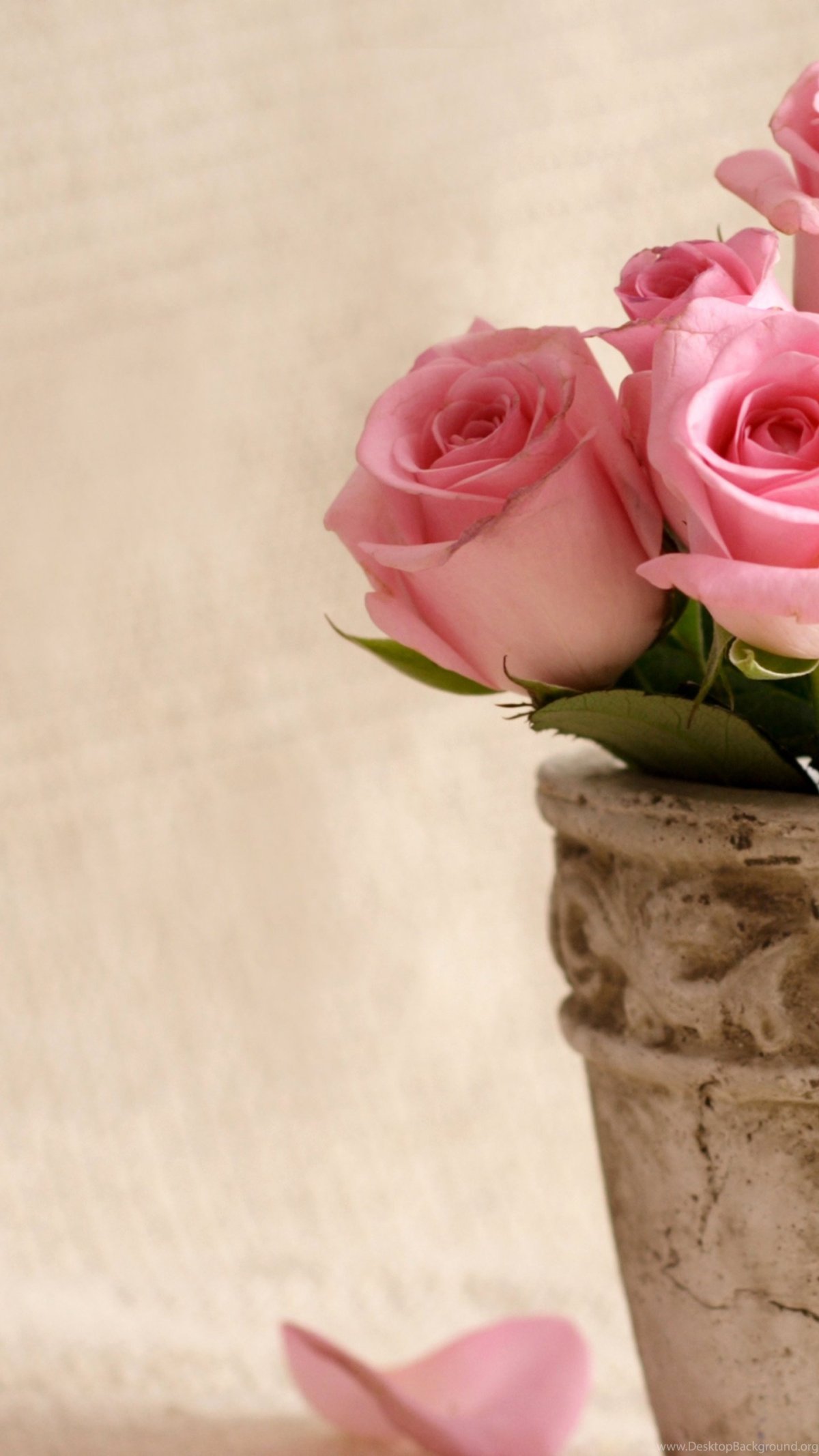 Яркие цветочные композиции