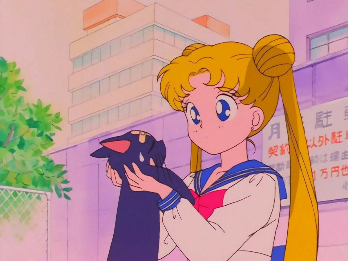 Усаги Цукино 1992