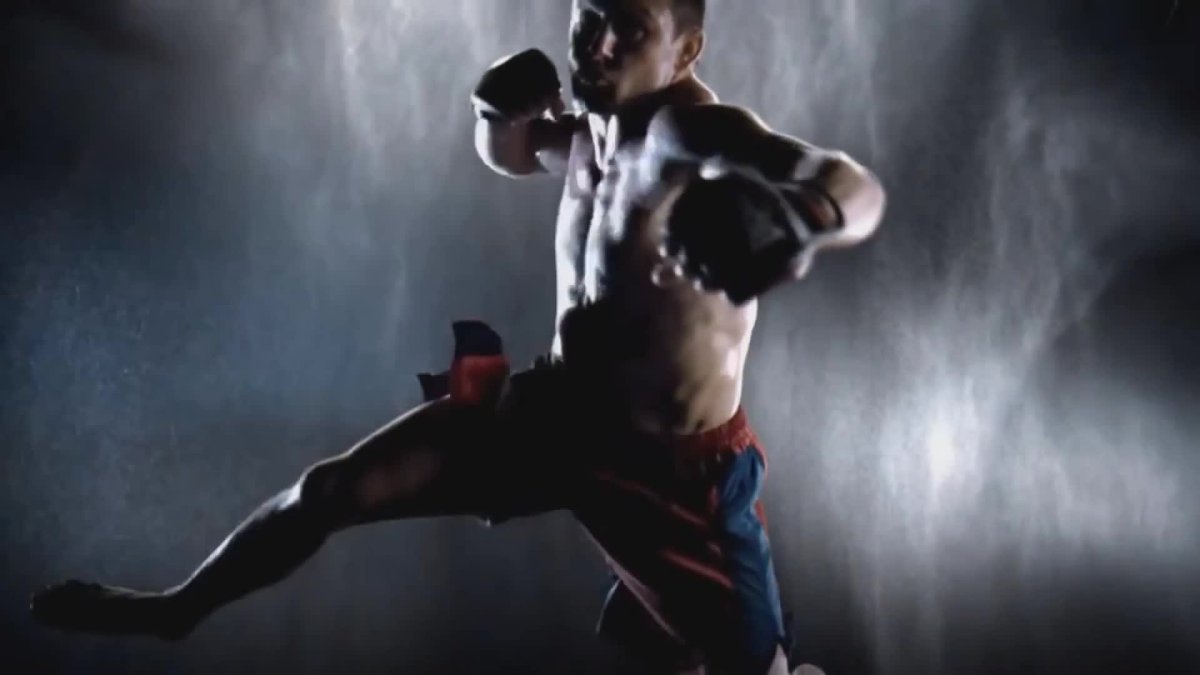 Мегалобокс Джо