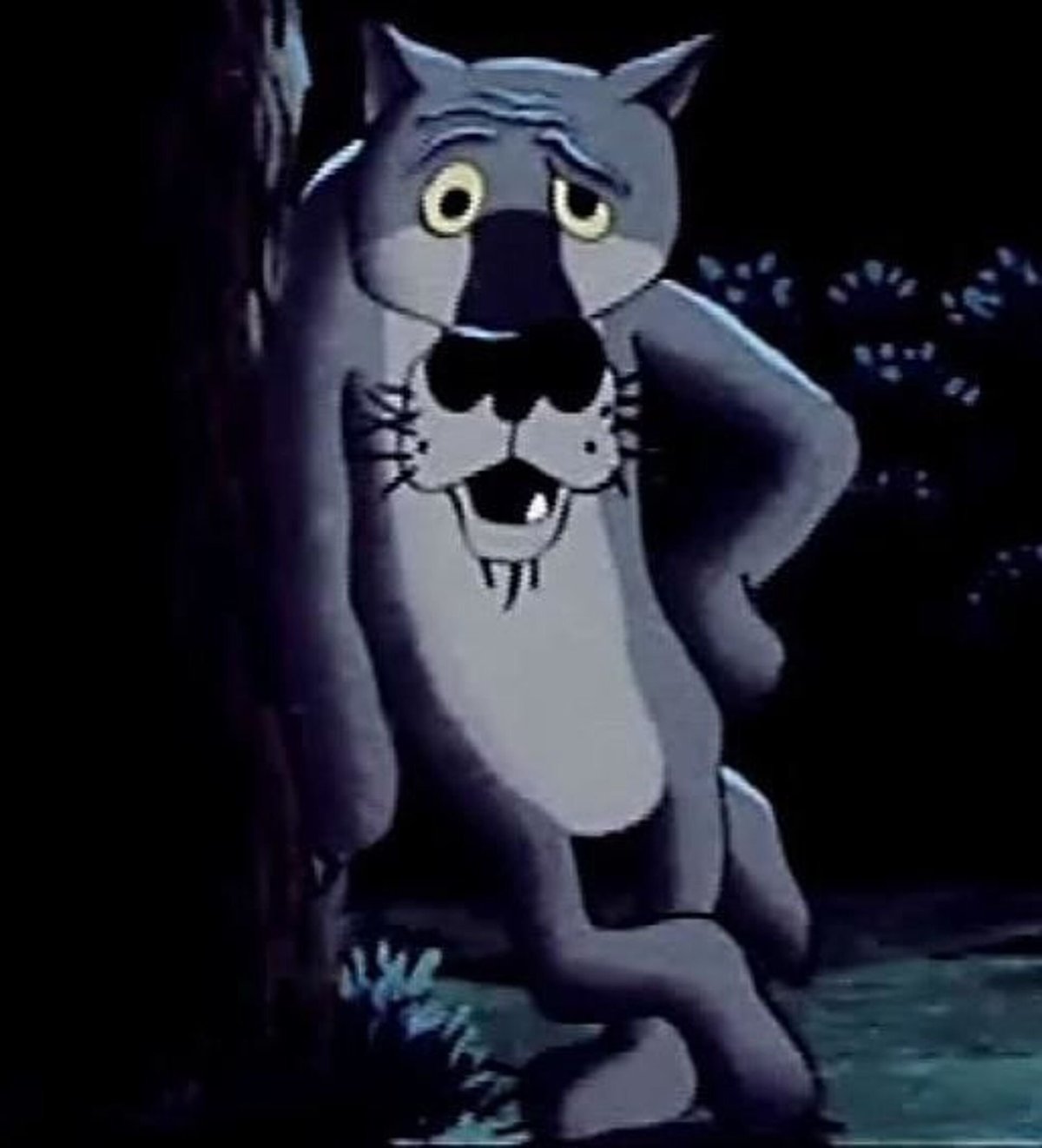 Шо опять волк