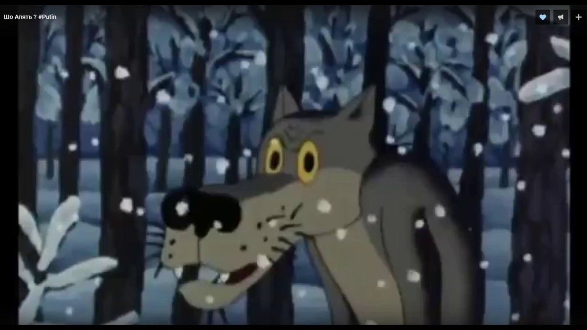 Волк на дверь туалета шо опять