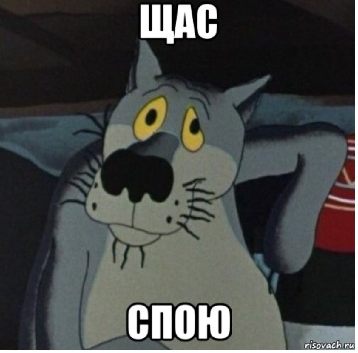 Волк заходи если что