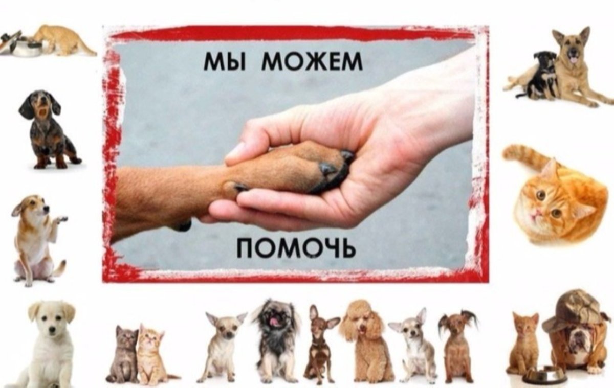 Силуэты людей и животных