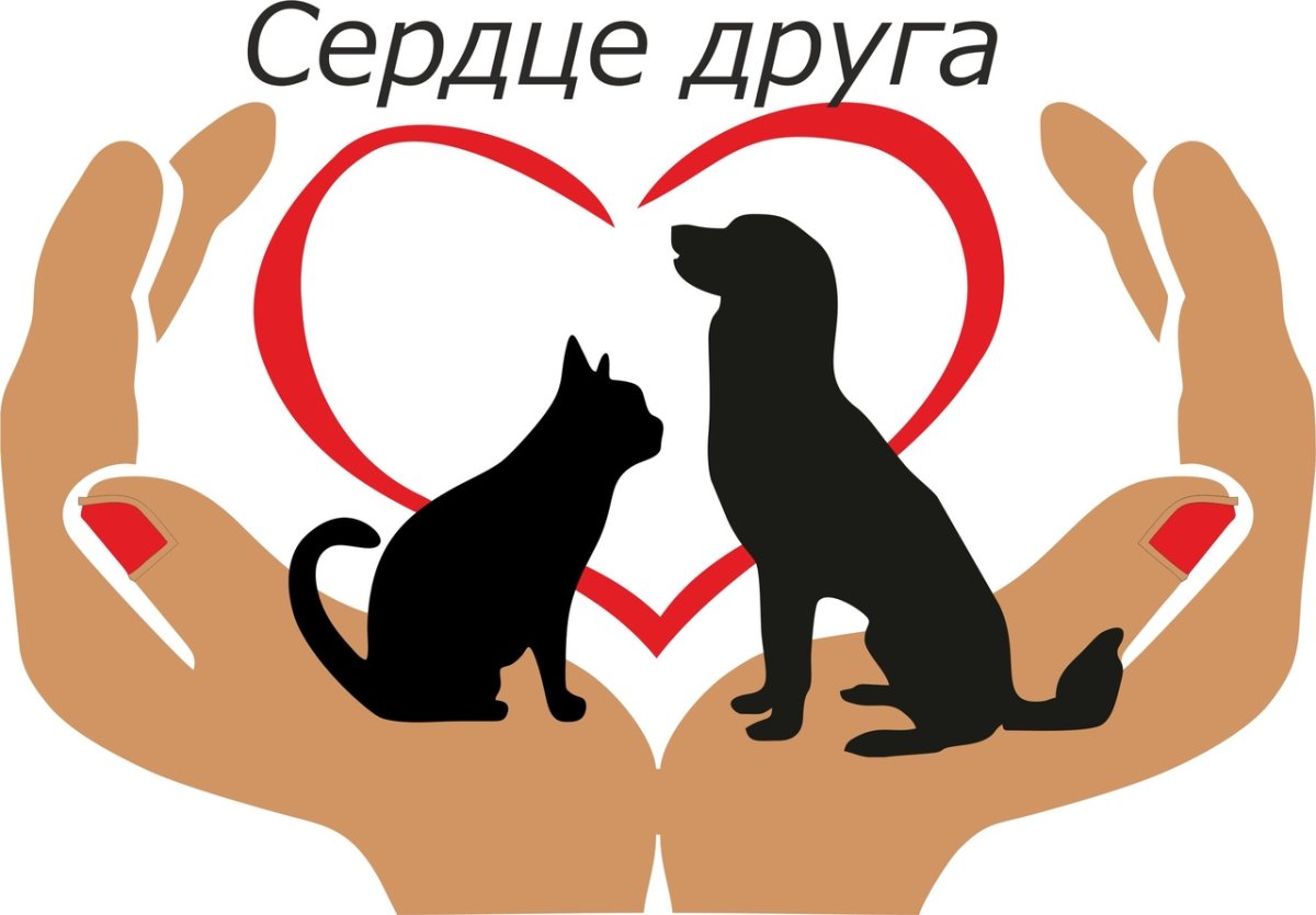 Спасибо за помощь