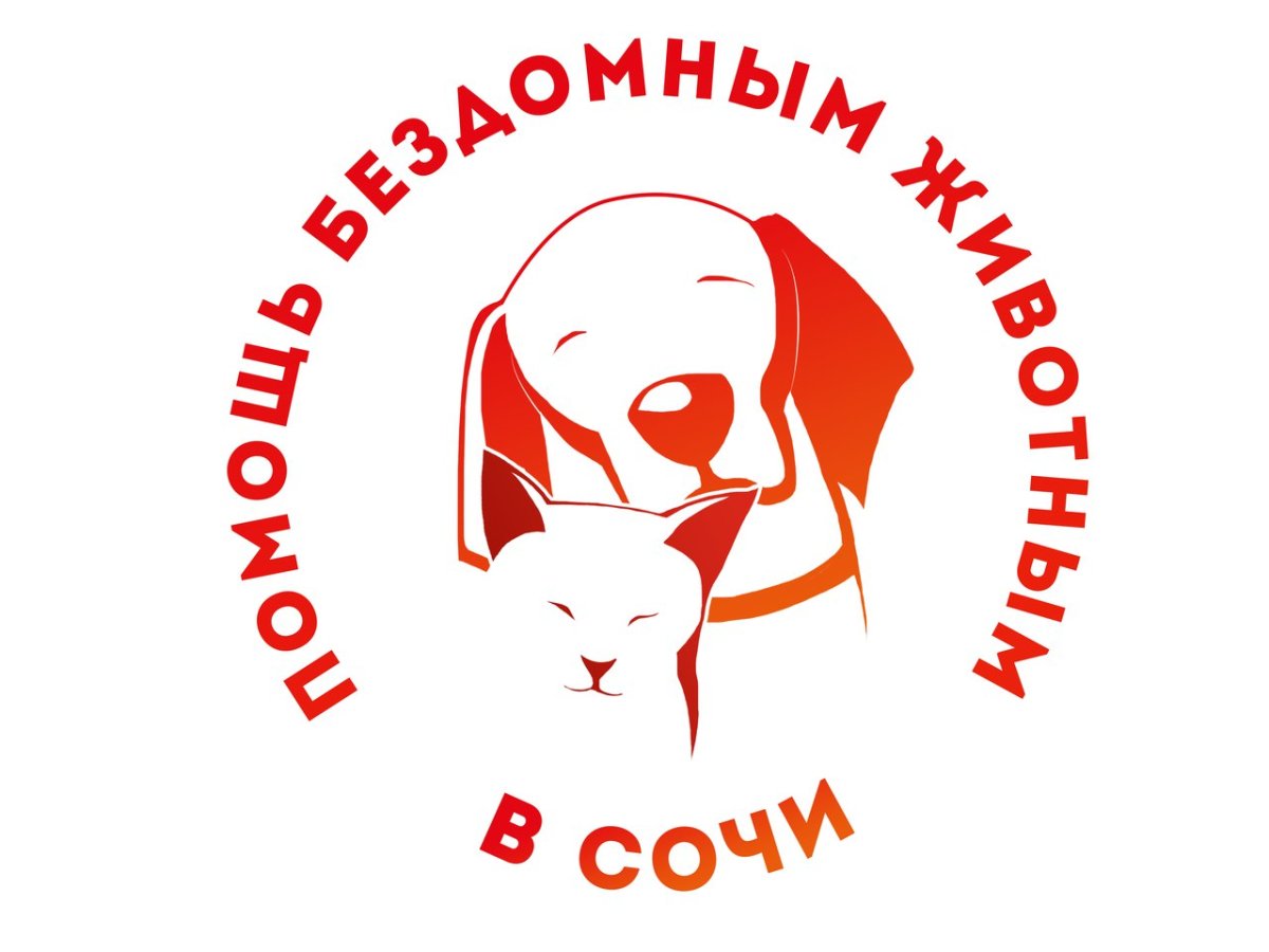 Спасибо за помощь