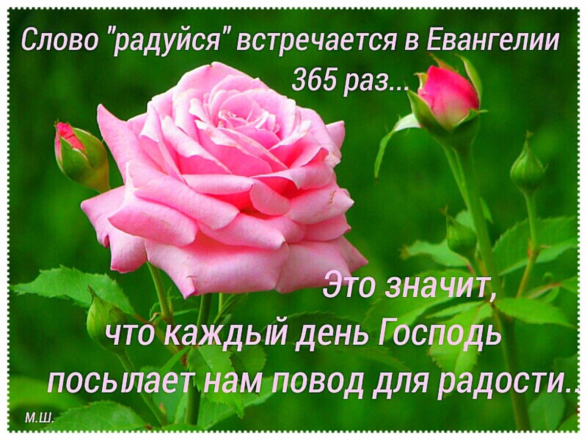 Христианские открытки на каждый день