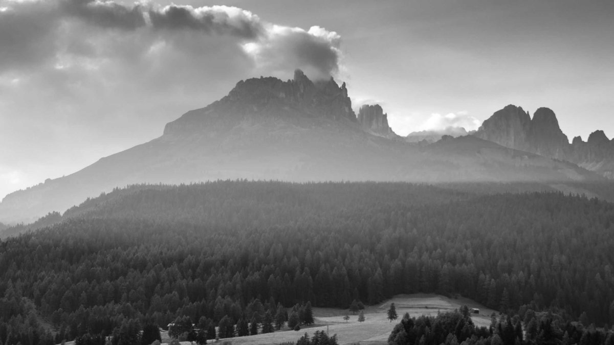 Следуй за мечтой