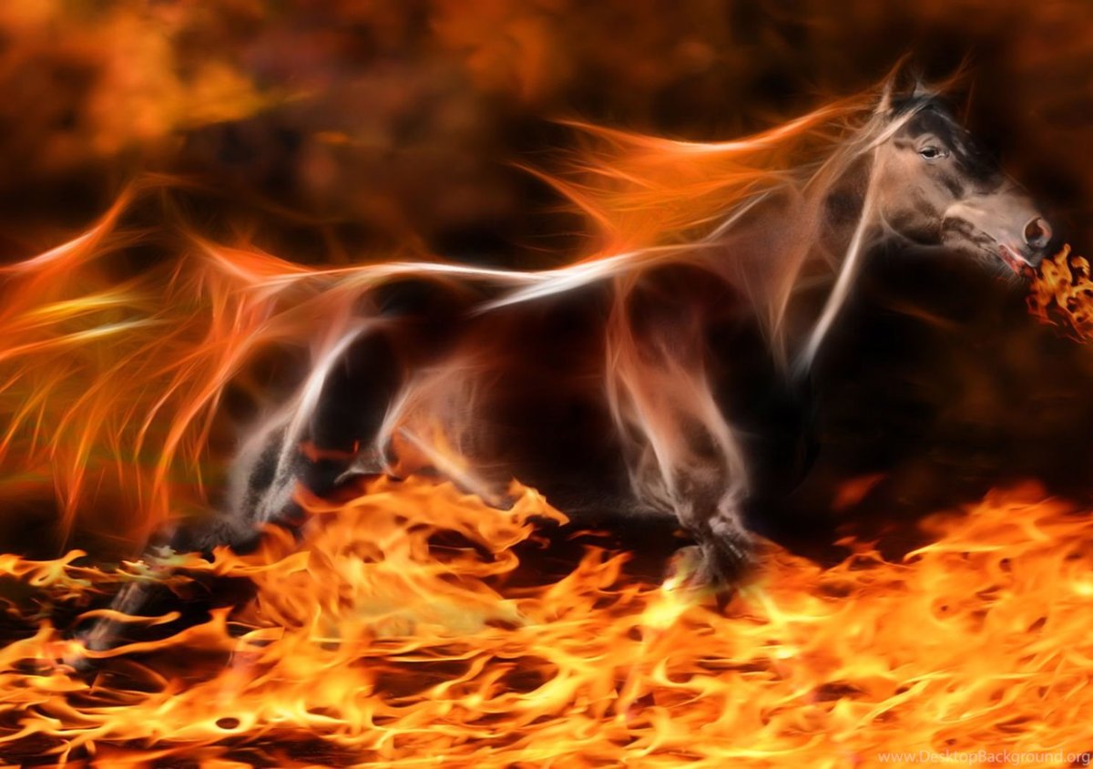 Красная Огненная лошадь