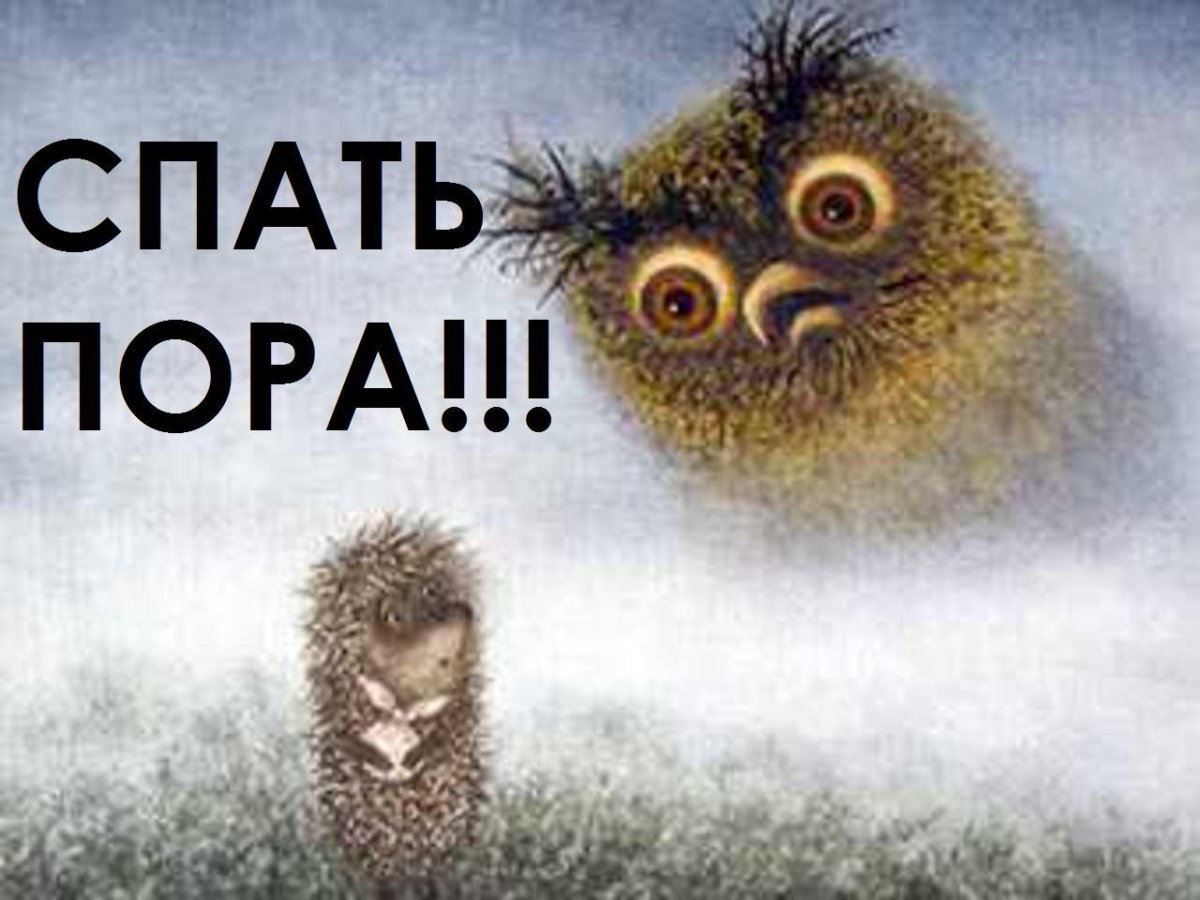 Спит храпит