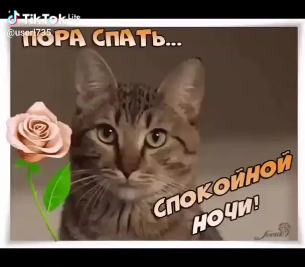 Открытки пора спать
