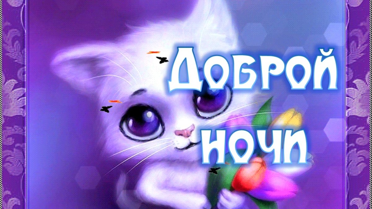 Прикольные пожелания спокойной ночи