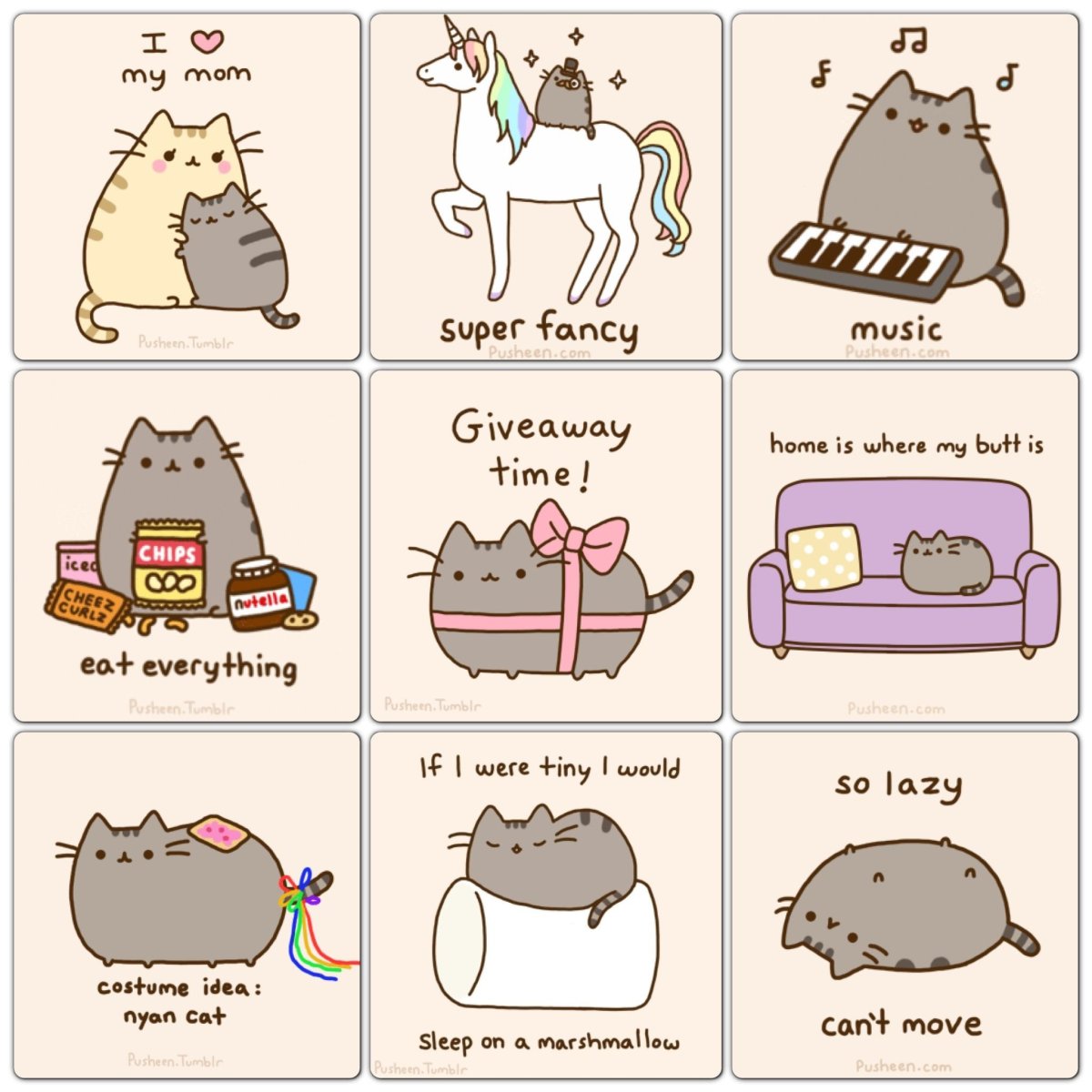 Кот Пушин в виде животных