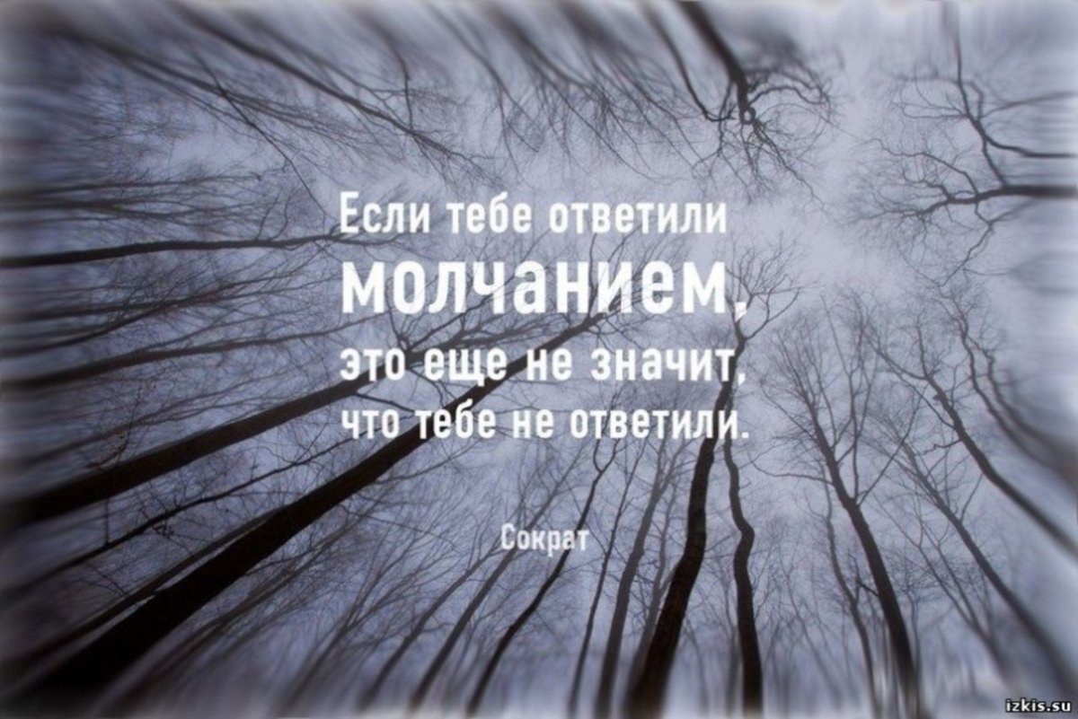 Крик души цитаты