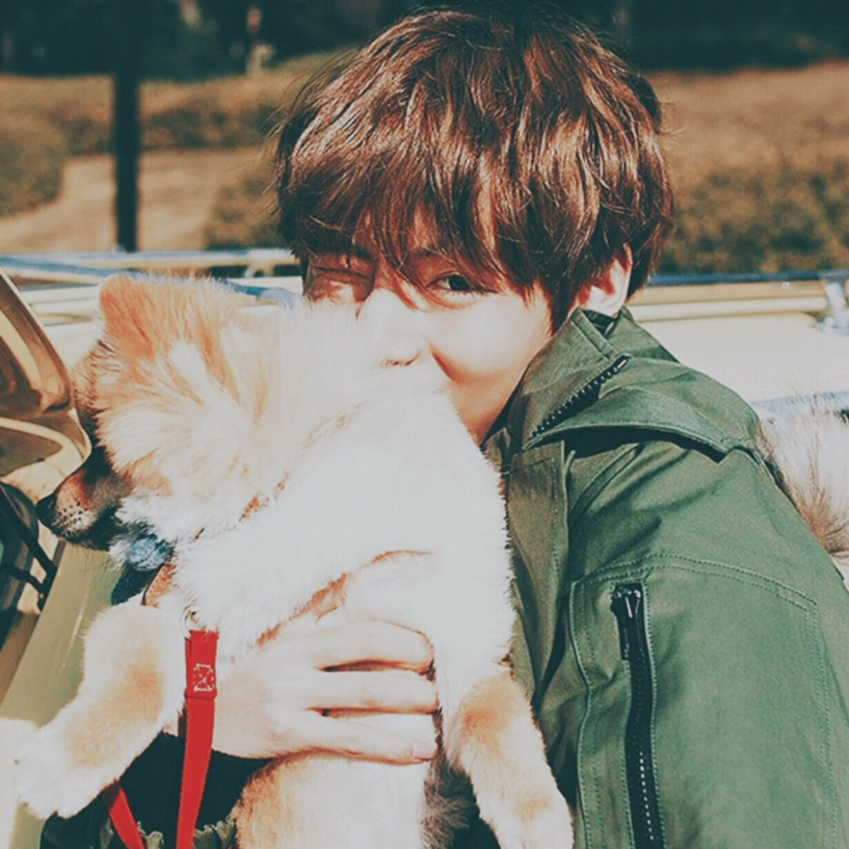 Собака Ким Тэхена БТС