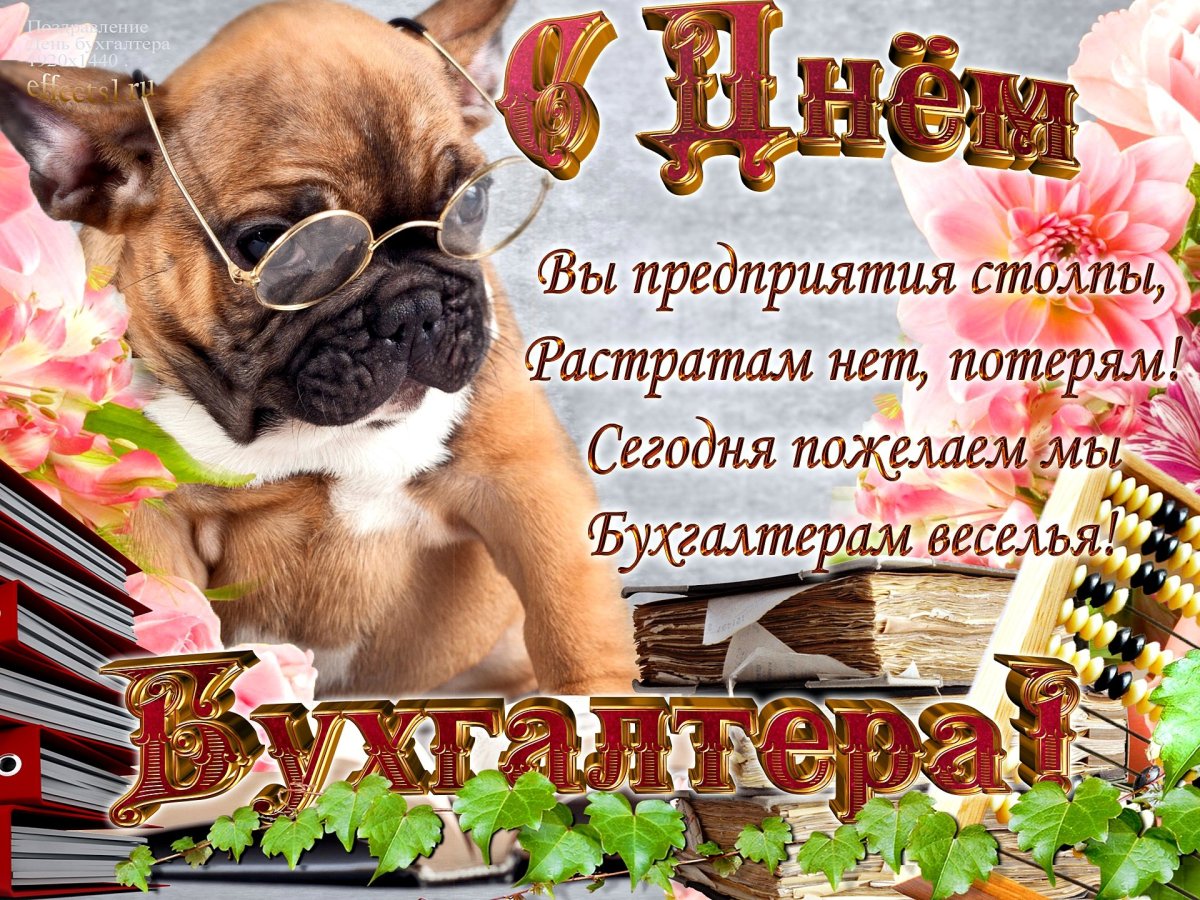 С днем бухгалтера картинки