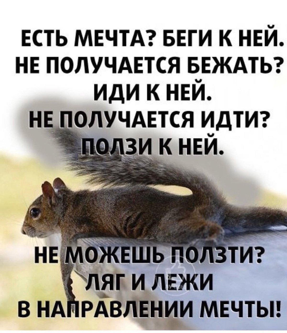 Мечтам свойственно сбываться