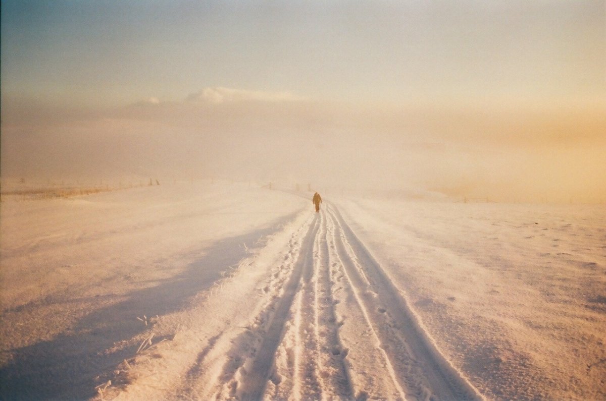 Человек идет по дороге