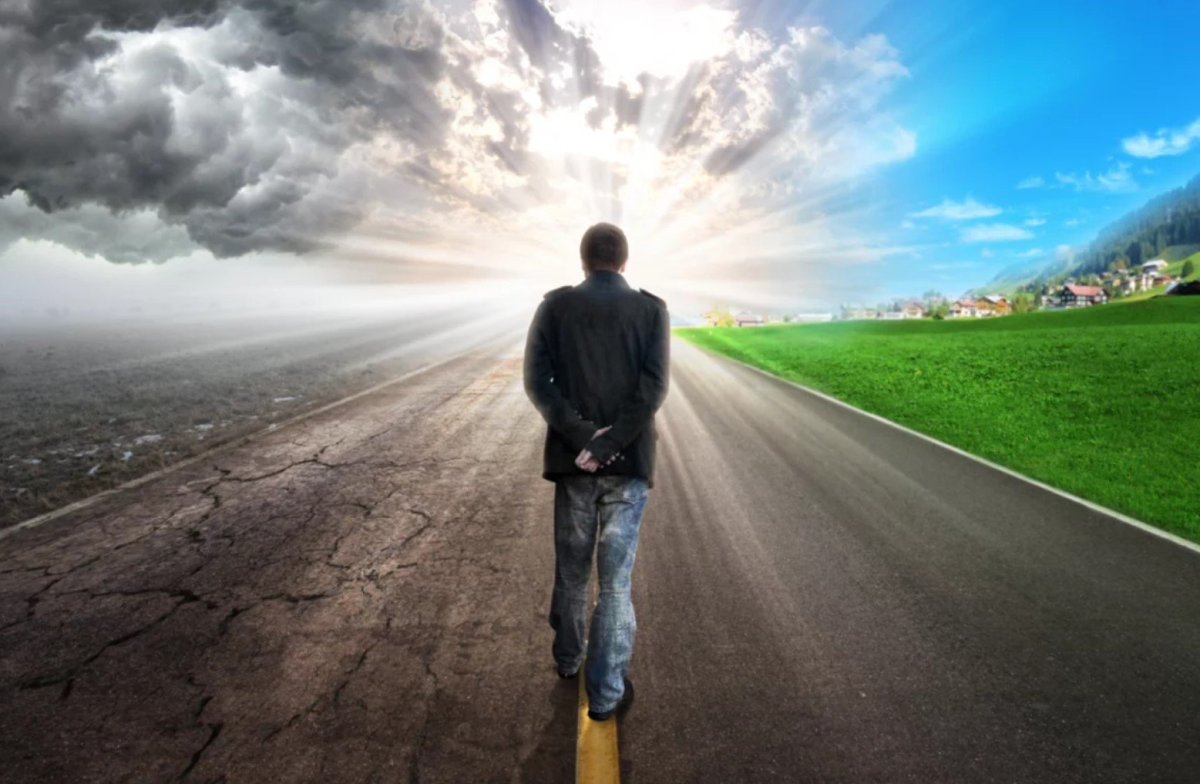 Рассвет жизни