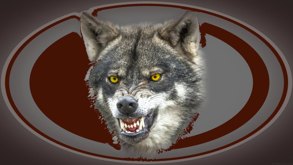 Волкособы оскал