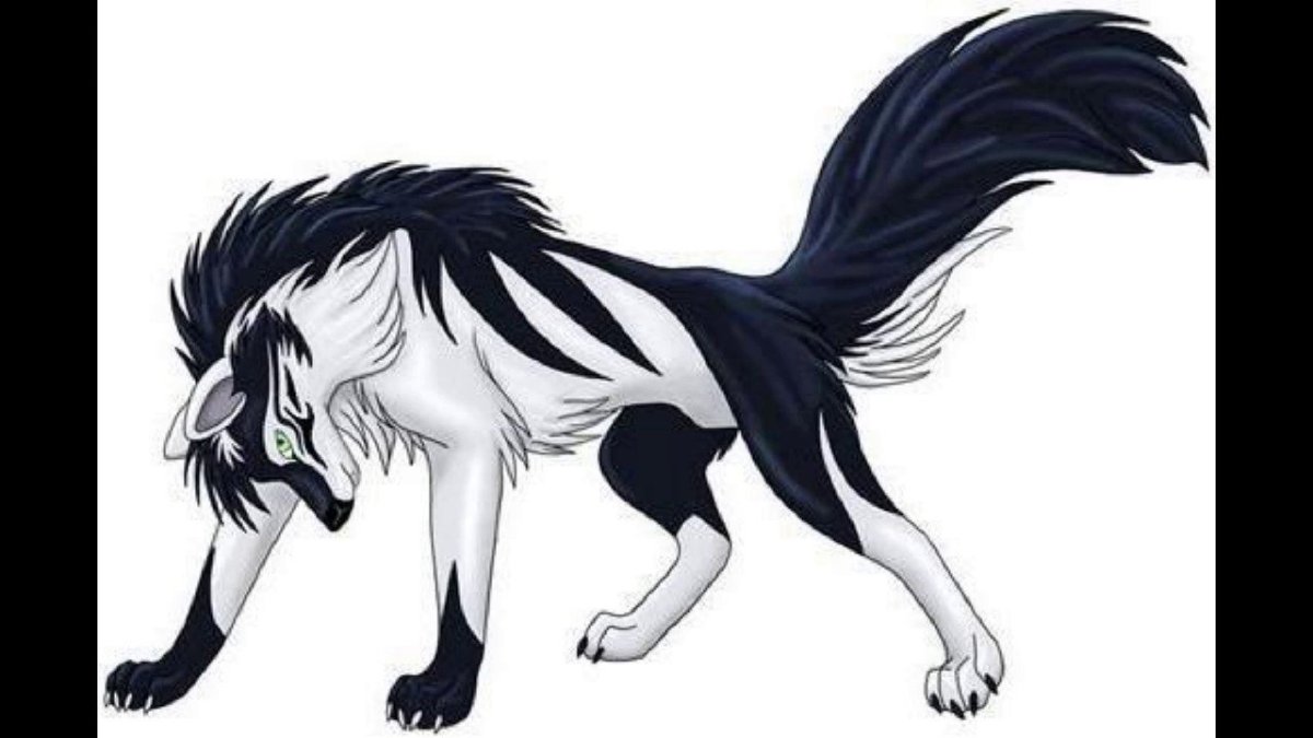 Блэк Вульф волчица аниме