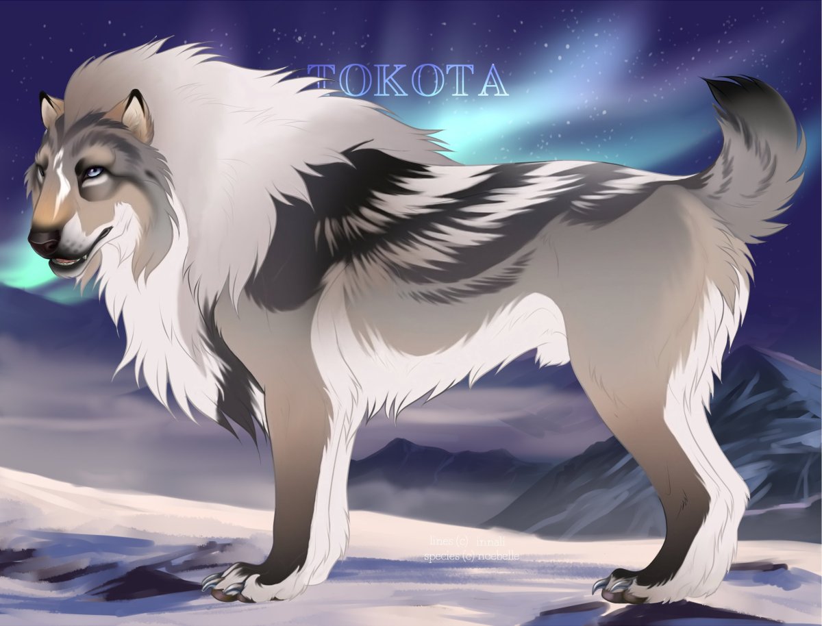 Фото волка аниме