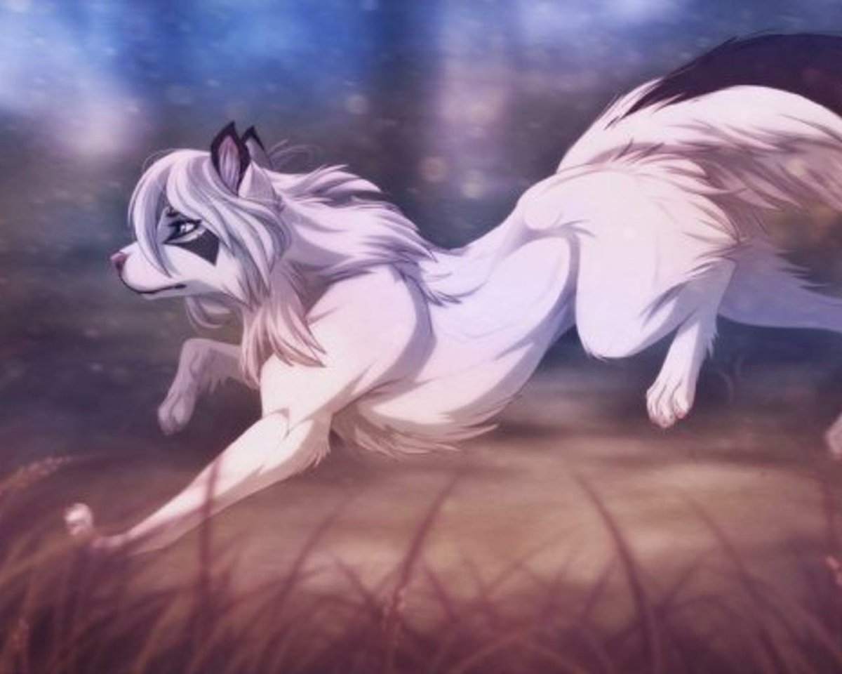 Волки аниме