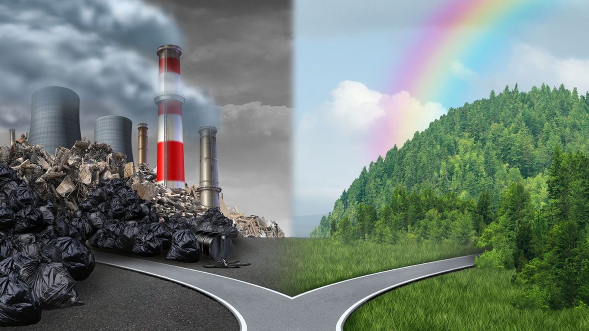 Экология мусор