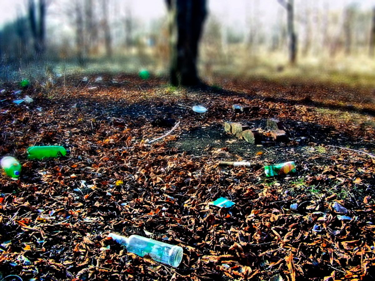 Экология загрязнение окружающей среды