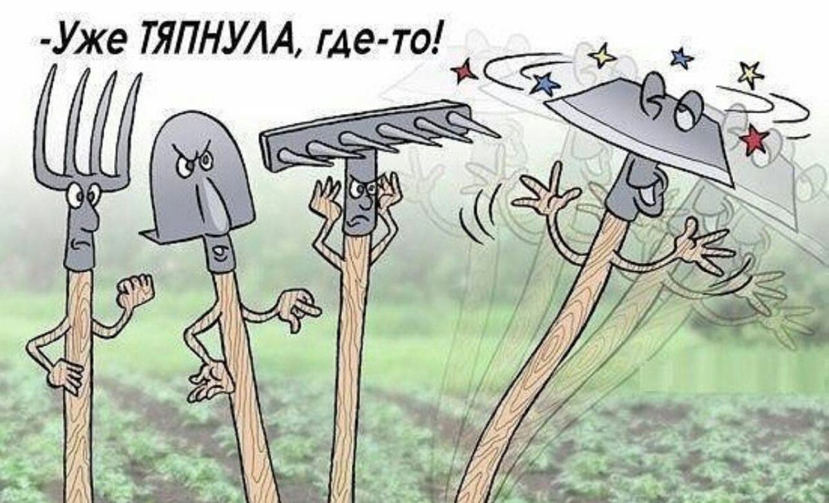 Шутки про огород