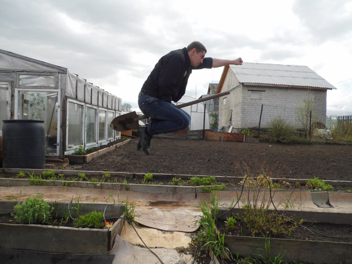 Дача смешно