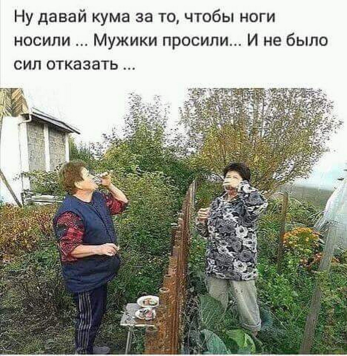 Смешное про огород
