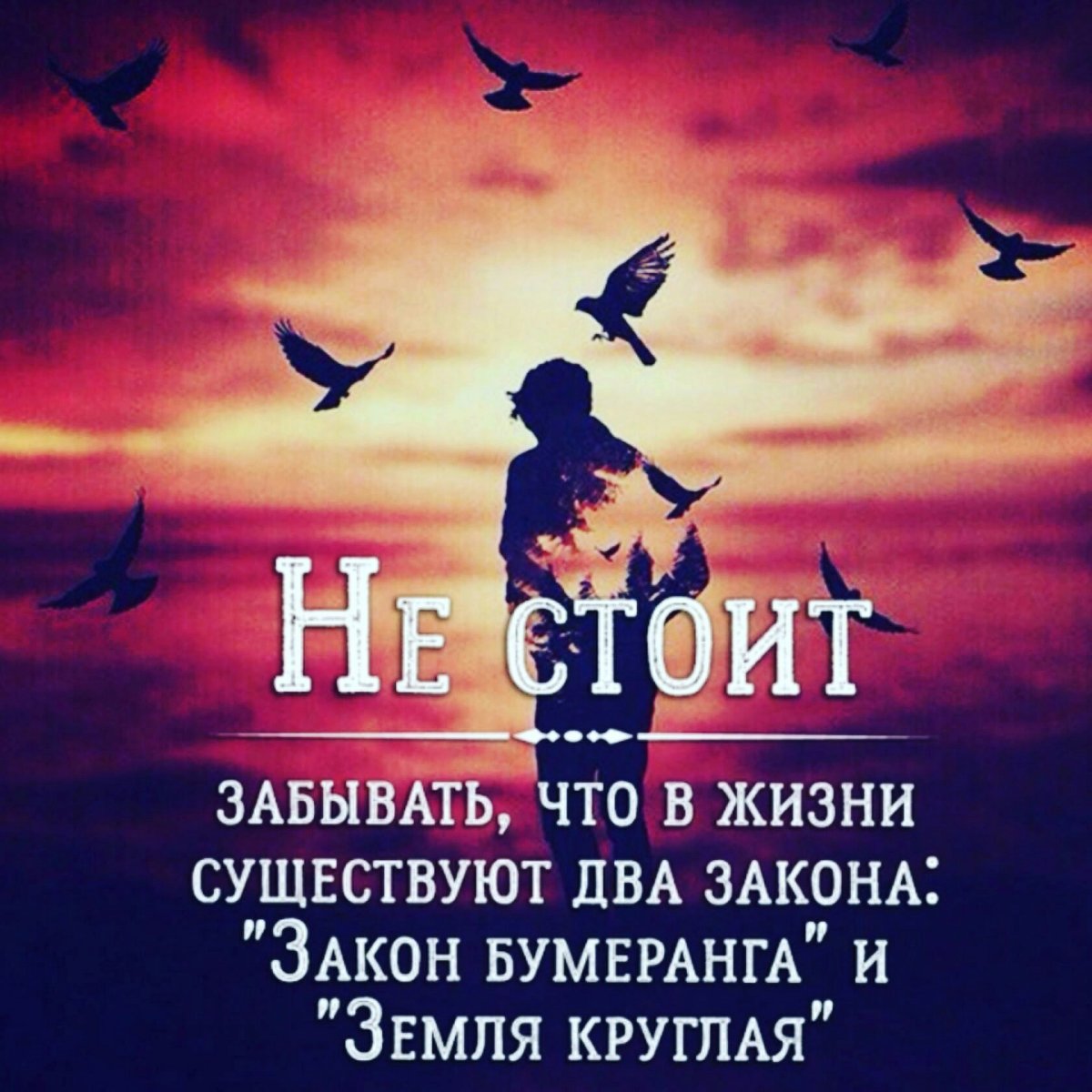 Бумеранг цитаты