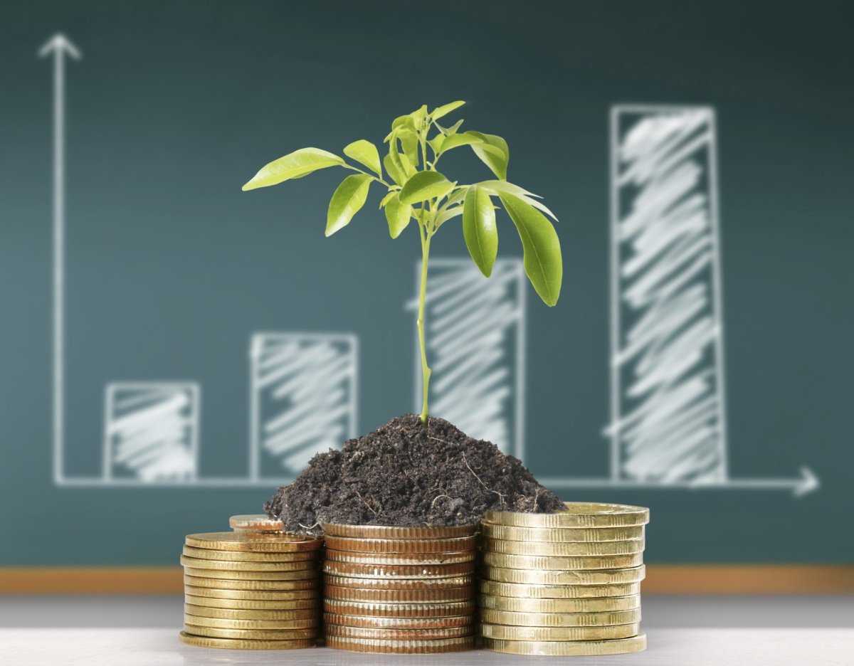 Денежные вложения