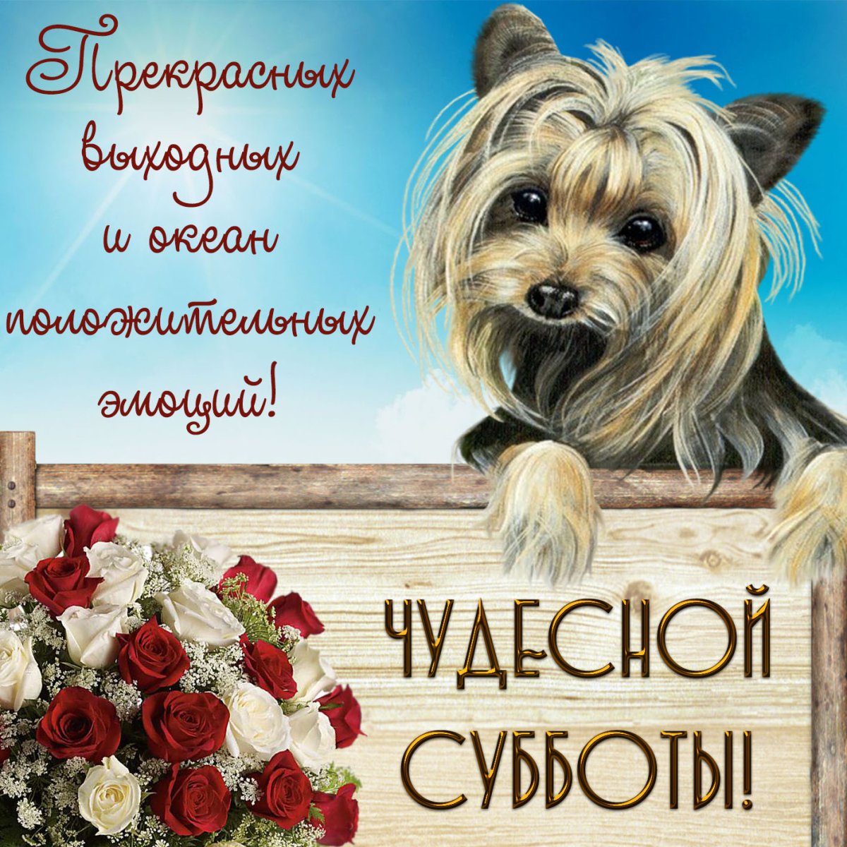 Прикольные картинки с пожеланиями