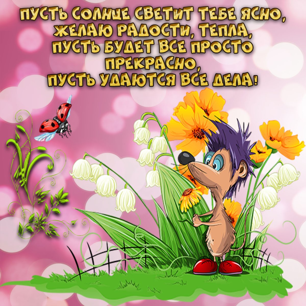 Поздравление со средой