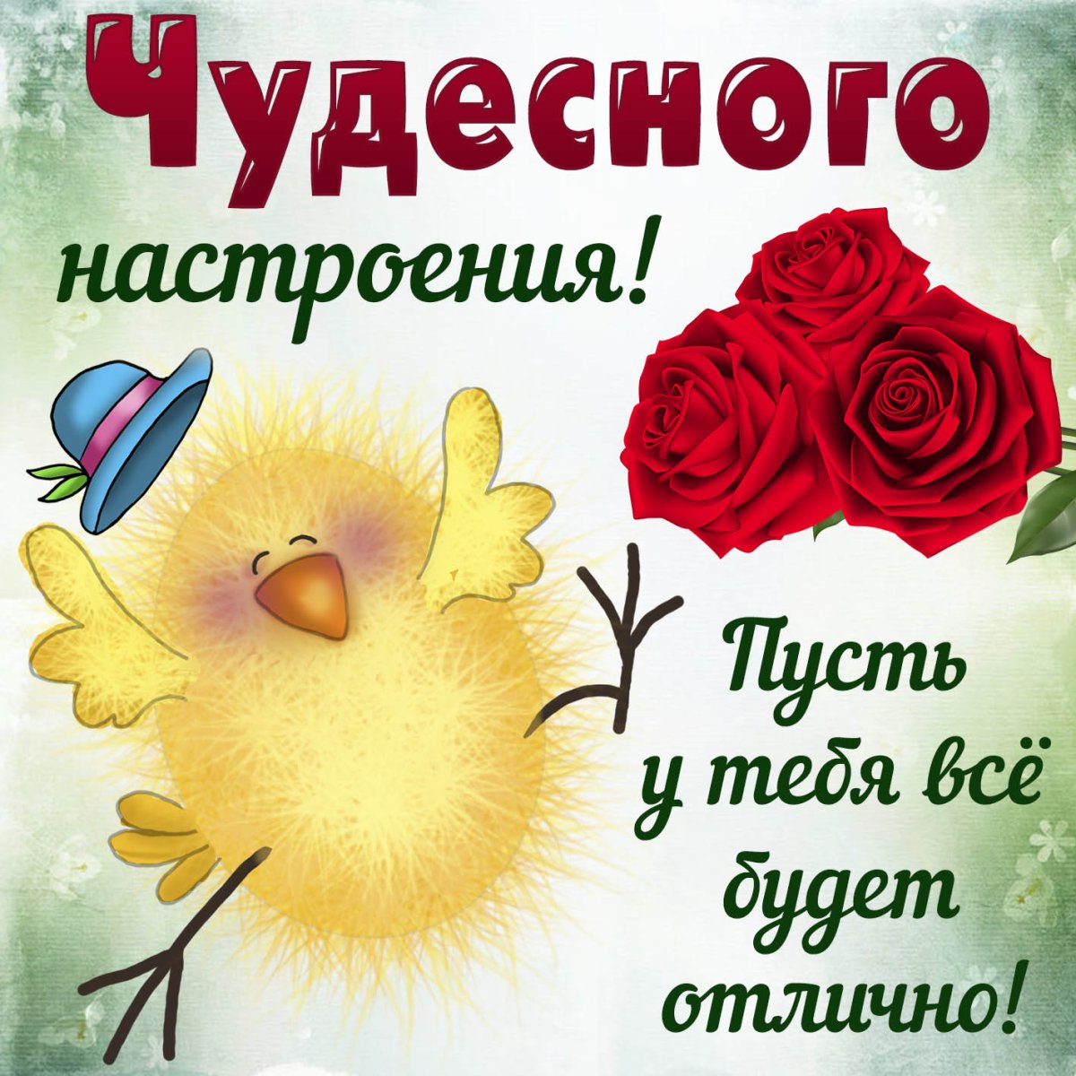 Прикольные открытки