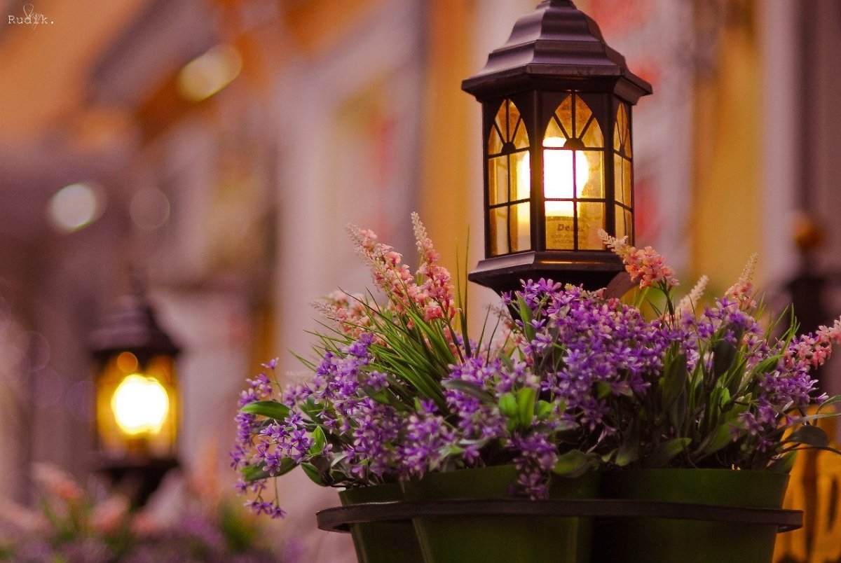 Доброго уютного зимнего вечера