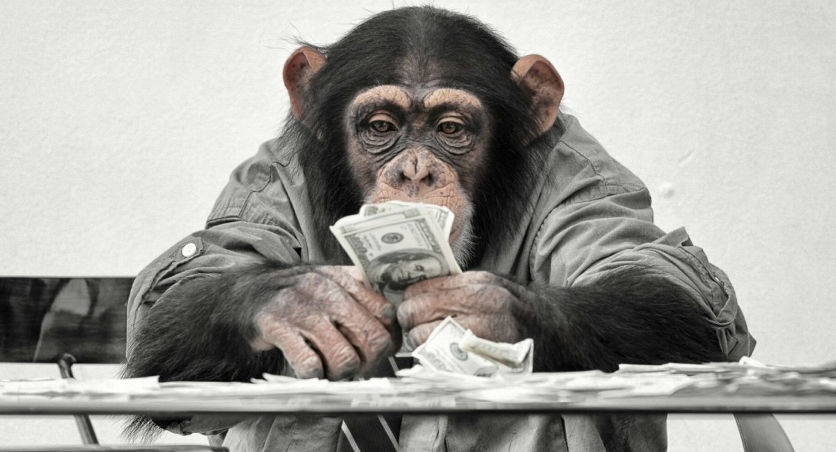 Обезьянка в очках