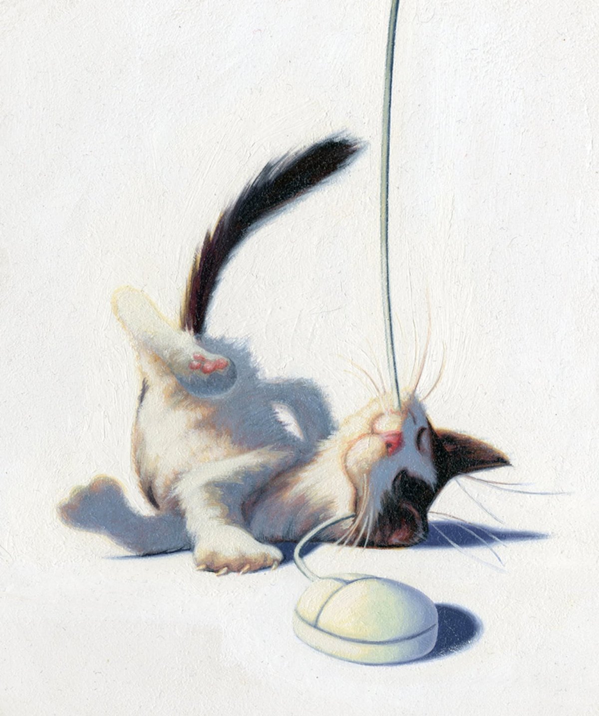 Котики забавные акварель