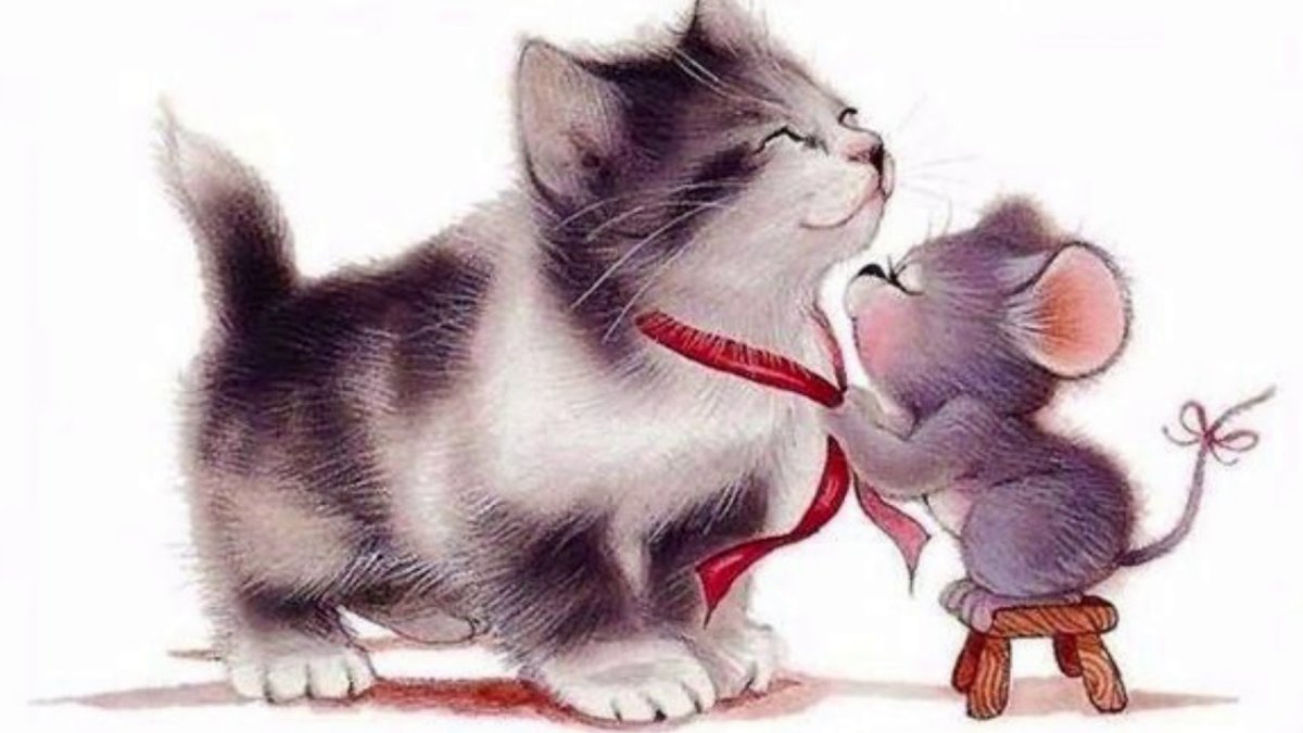 Кот и мышка
