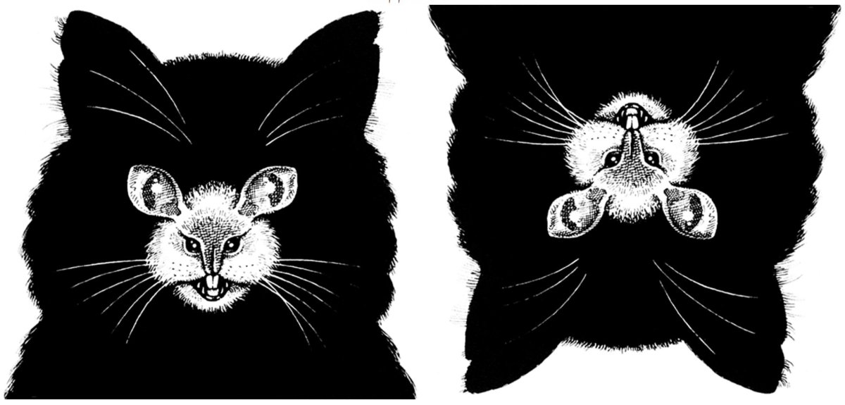 Двойственные иллюзии