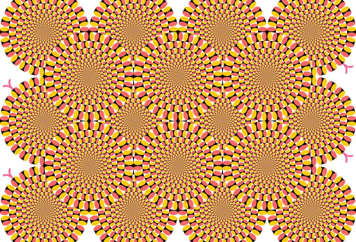 Акиоши Китаока профессор